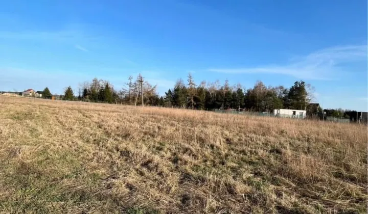 Działka budowlana Kalsko