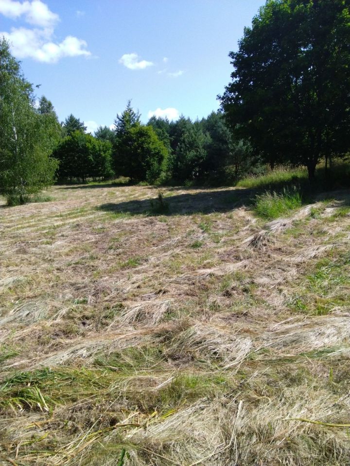 Działka budowlana Wiewiórki. Zdjęcie 4