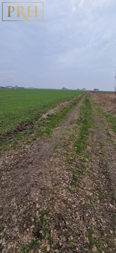 Działka budowlana Koszalin Jamno, ul. Kmieca. Zdjęcie 7