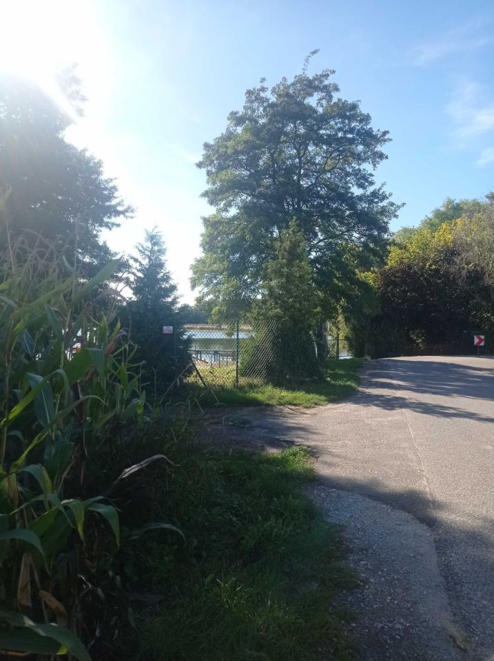 dom wolnostojący Długie. Zdjęcie 4