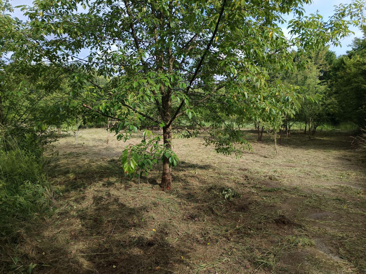 Działka rolna Mielec Cyranka, ul. Cyranowska. Zdjęcie 4