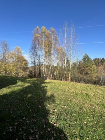 Działka leśna Juszczyna. Zdjęcie 1