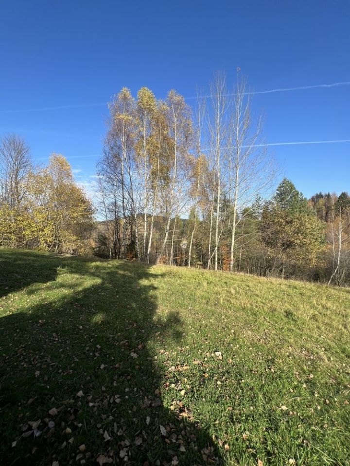 Działka leśna Juszczyna. Zdjęcie 1