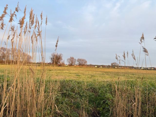Działka rolna Oleśniczka. Zdjęcie 13
