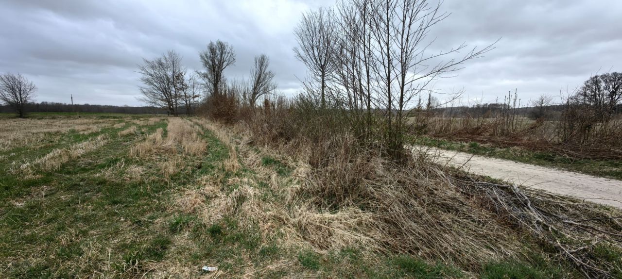 Działka rolna Karszewo. Zdjęcie 8