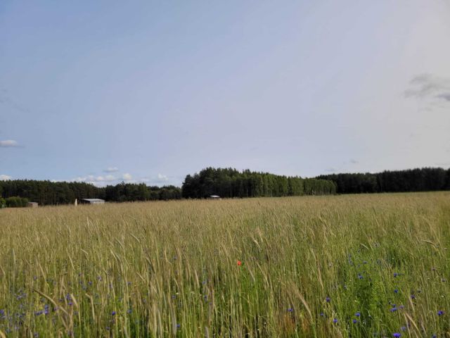 Działka budowlana Nowy Sumin. Zdjęcie 1