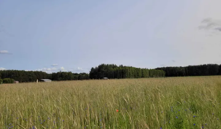 Działka budowlana Nowy Sumin