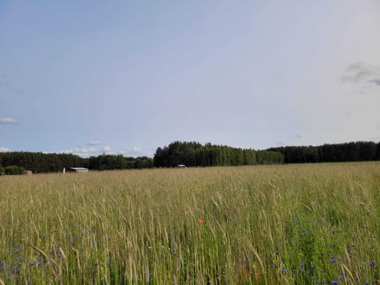 Działka budowlana Nowy Sumin