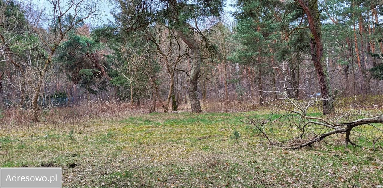 Działka inwestycyjna Warszawa Wawer, al. Dzieci Polskich. Zdjęcie 4