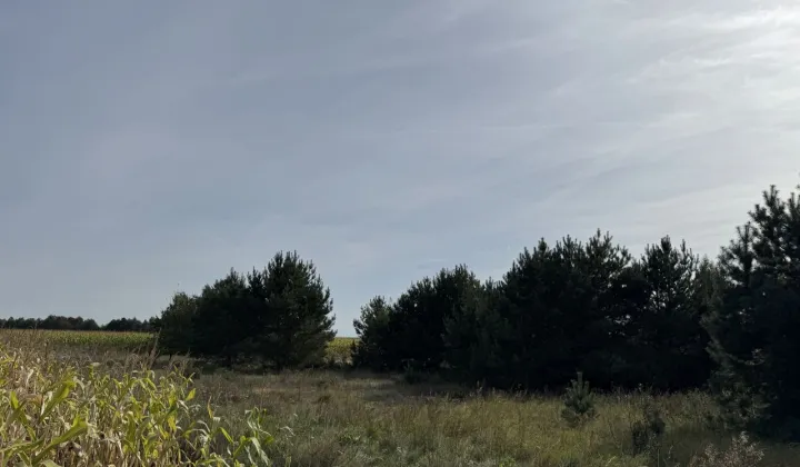 Działka budowlana Małe Łąkie, ul. os. Sosnowe