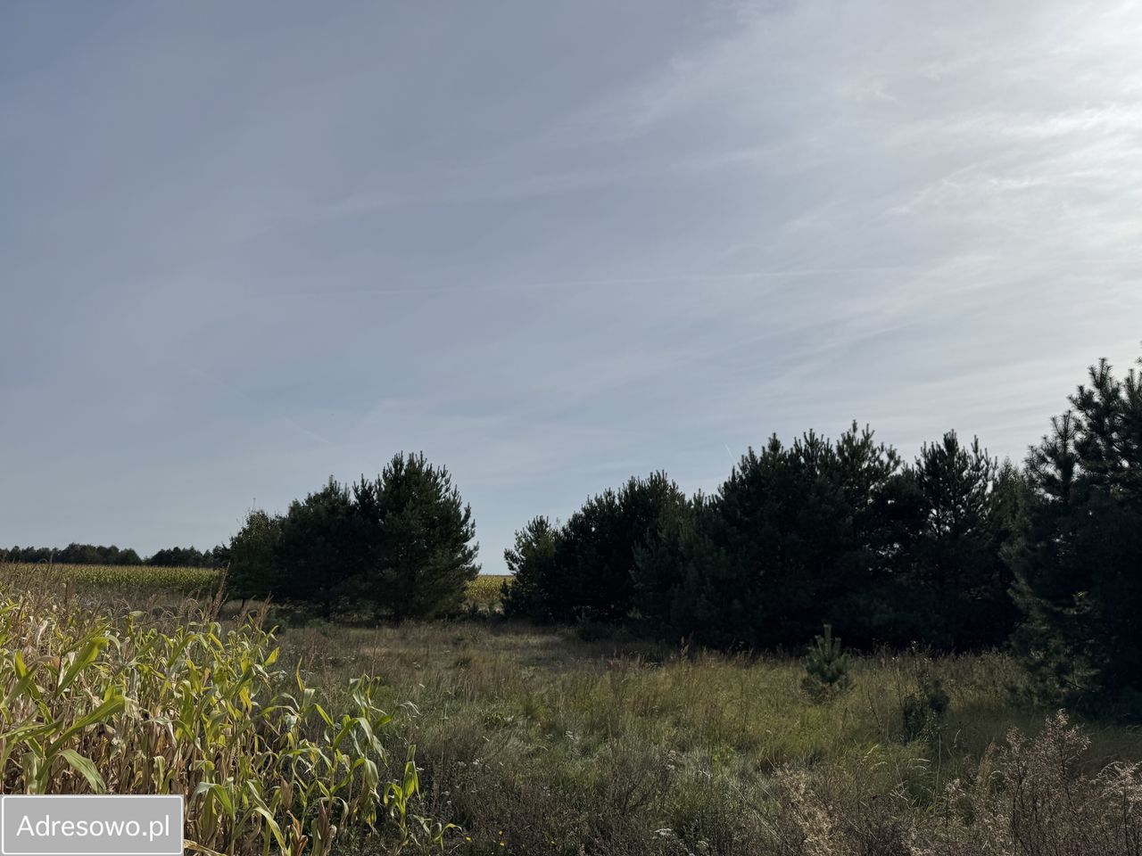 Działka budowlana Małe Łąkie, ul. os. Sosnowe