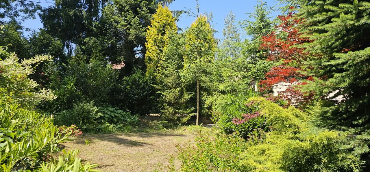 dom wolnostojący, 3 pokoje Haczów. Zdjęcie 4