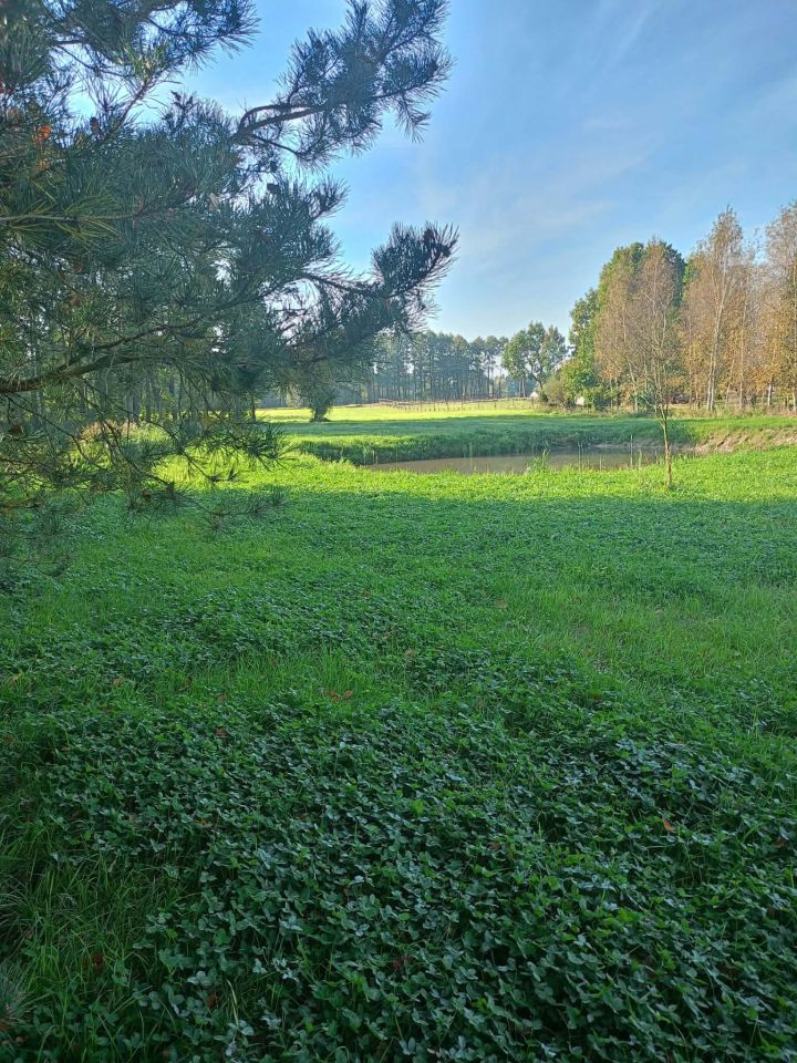 Działka budowlana Rumunki Tupadelskie. Zdjęcie 8