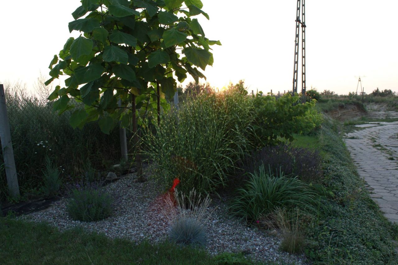 Hala/magazyn Witnica, ul. Chojeńska. Zdjęcie 13