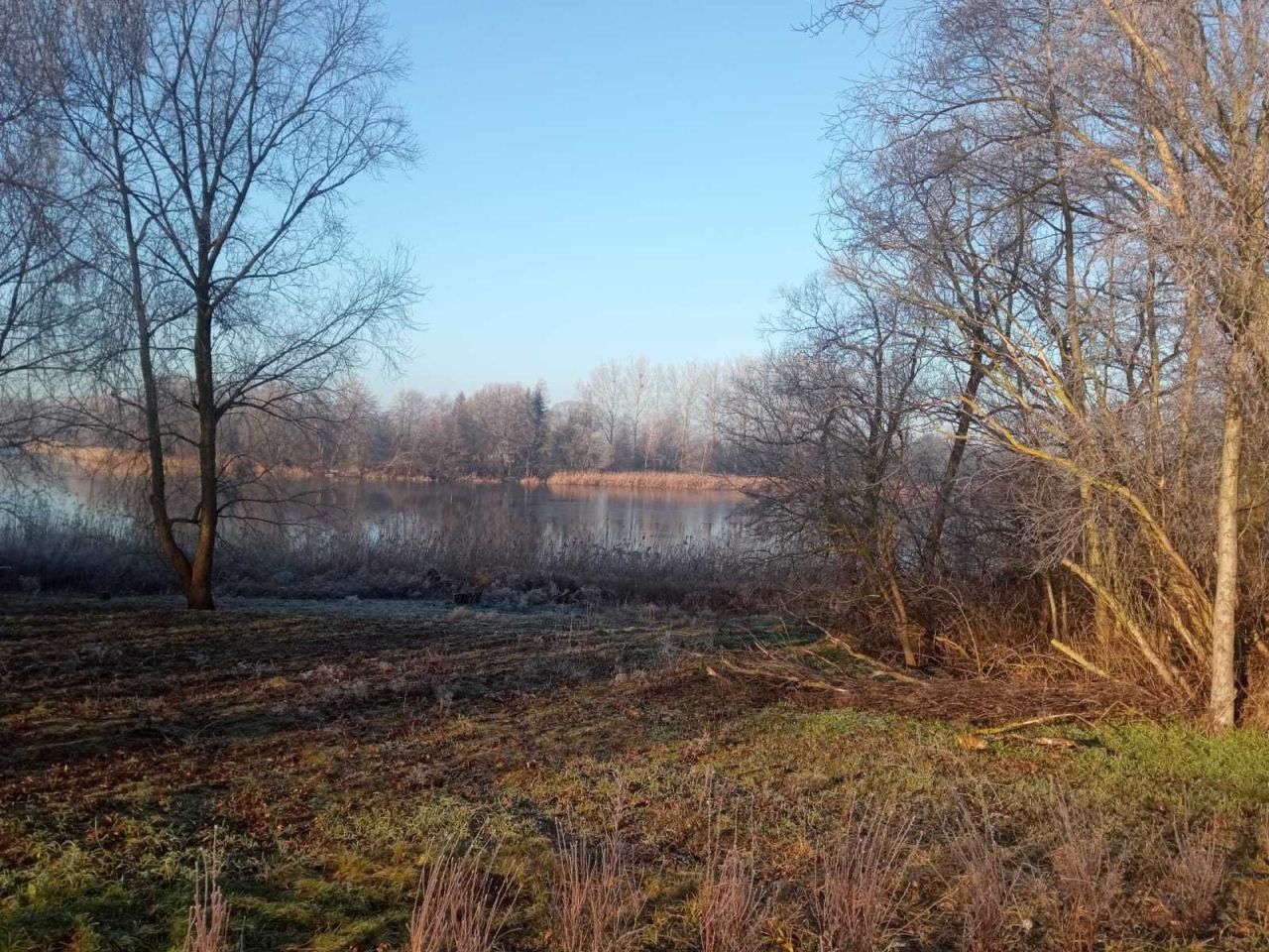 Działka budowlana Waliszewo. Zdjęcie 4