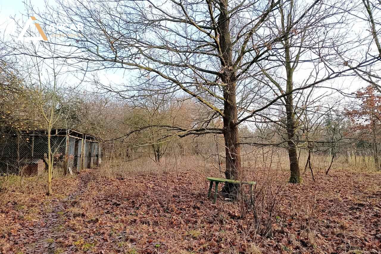 Działka budowlana Skarżysko-Kamienna, ul. Warszawska. Zdjęcie 8
