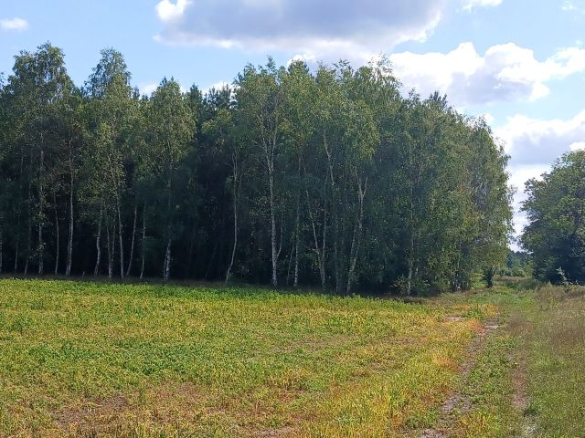 Działka Bogaczów Krzewiny. Zdjęcie 1
