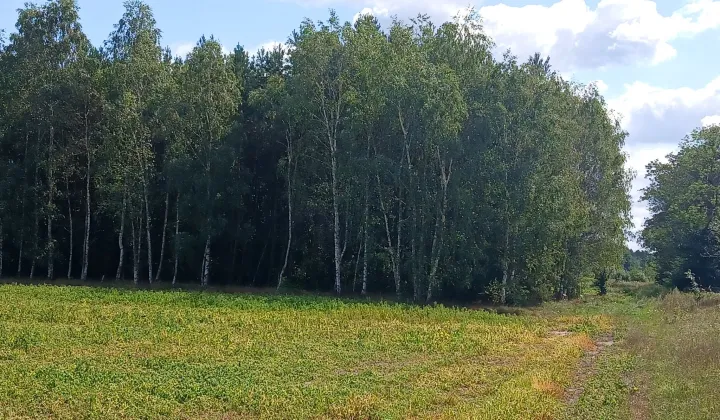 Działka Bogaczów Krzewiny