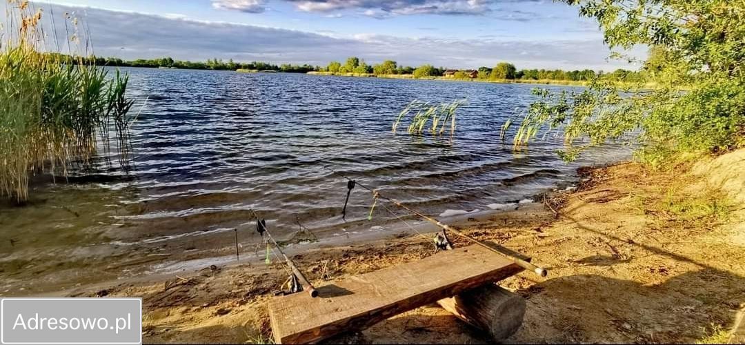 Działka rekreacyjna Lewin Brzeski. Zdjęcie 4