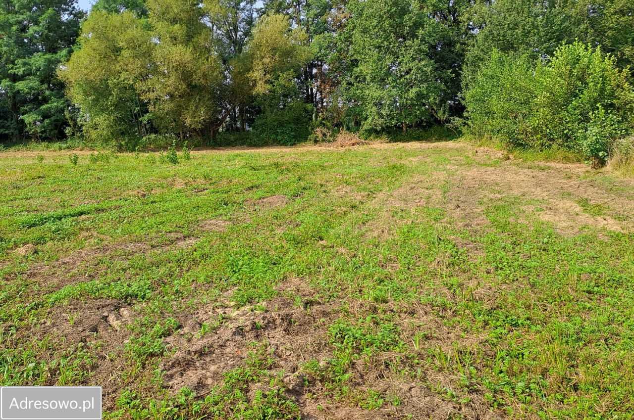 Działka budowlana Ostrzeszów. Zdjęcie 5