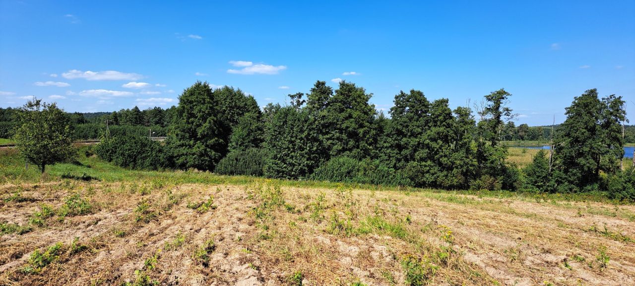 Działka rolna Cerkiewnik. Zdjęcie 9