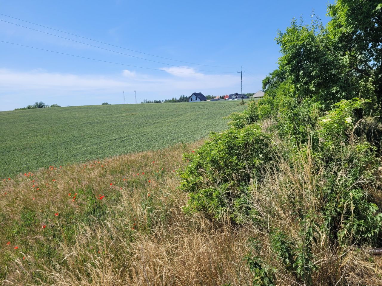 Działka budowlana Cedynia, ul. Kolonia. Zdjęcie 10