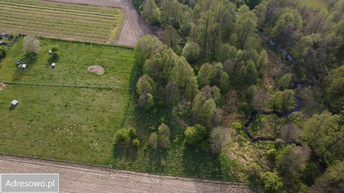 Działka rolno-budowlana Lubiska-Kolonia. Zdjęcie 5
