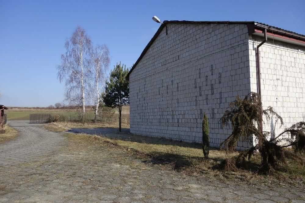 Hala/magazyn Opaleniska. Zdjęcie 6