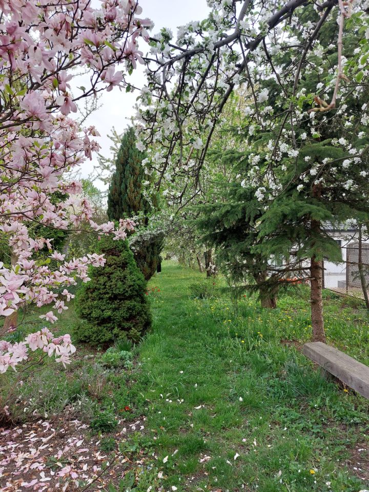 dom wolnostojący, 3 pokoje Częstochowa Raków, ul. Okrzei. Zdjęcie 17