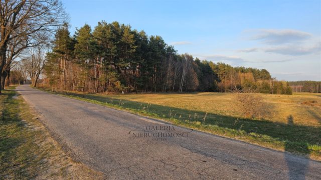 Działka rekreacyjna Nowa Wieś. Zdjęcie 5
