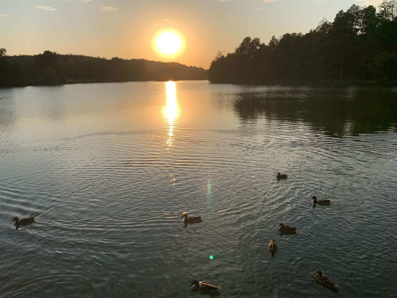 Działka budowlana Cychry. Zdjęcie 23