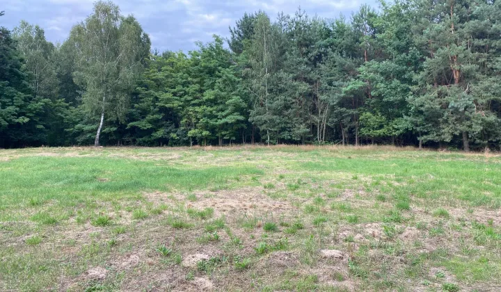 Działka budowlana Skórzec, ul. Cmentarna