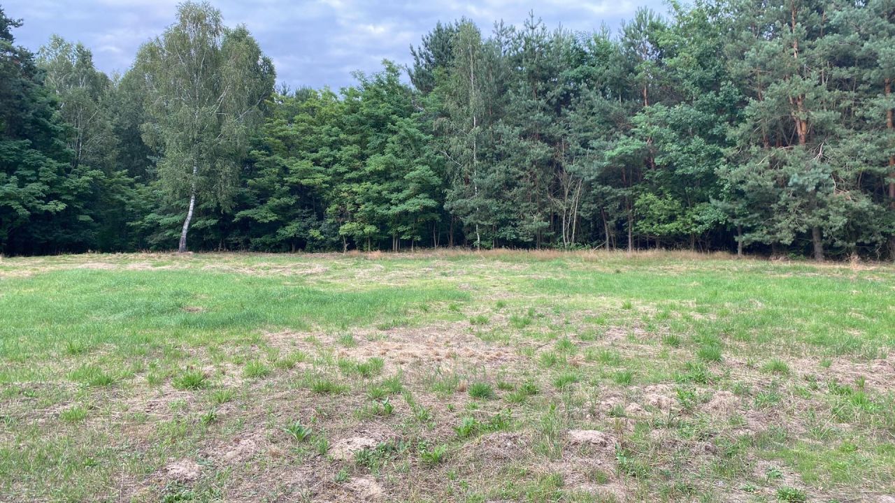 Działka budowlana Skórzec, ul. Cmentarna. Zdjęcie 1