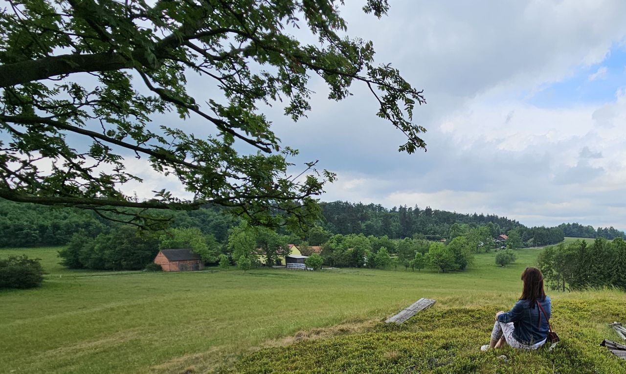 Działka rekreacyjna Pastewnik. Zdjęcie 9