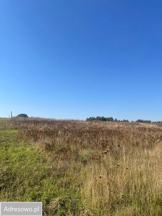 Działka budowlana Gąbin. Zdjęcie 6