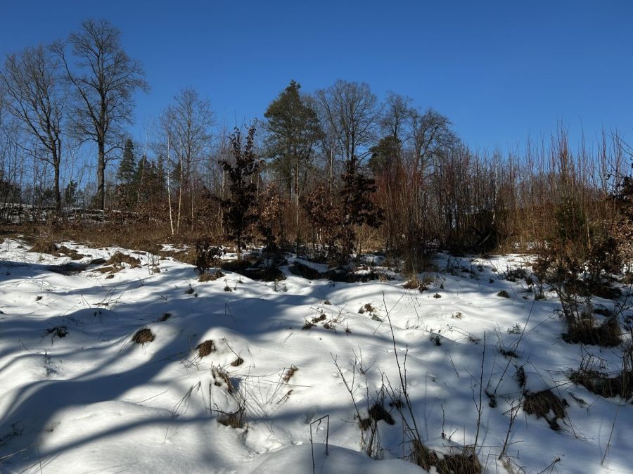 Działka budowlana Sulęczyno, ul. Aleja Zwycięstwa