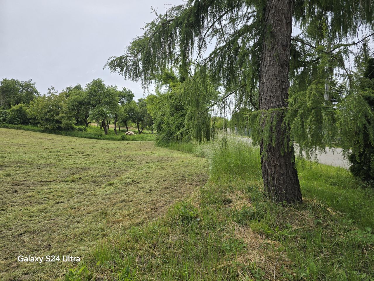Działka rolno-budowlana Nowy Kamień. Zdjęcie 27