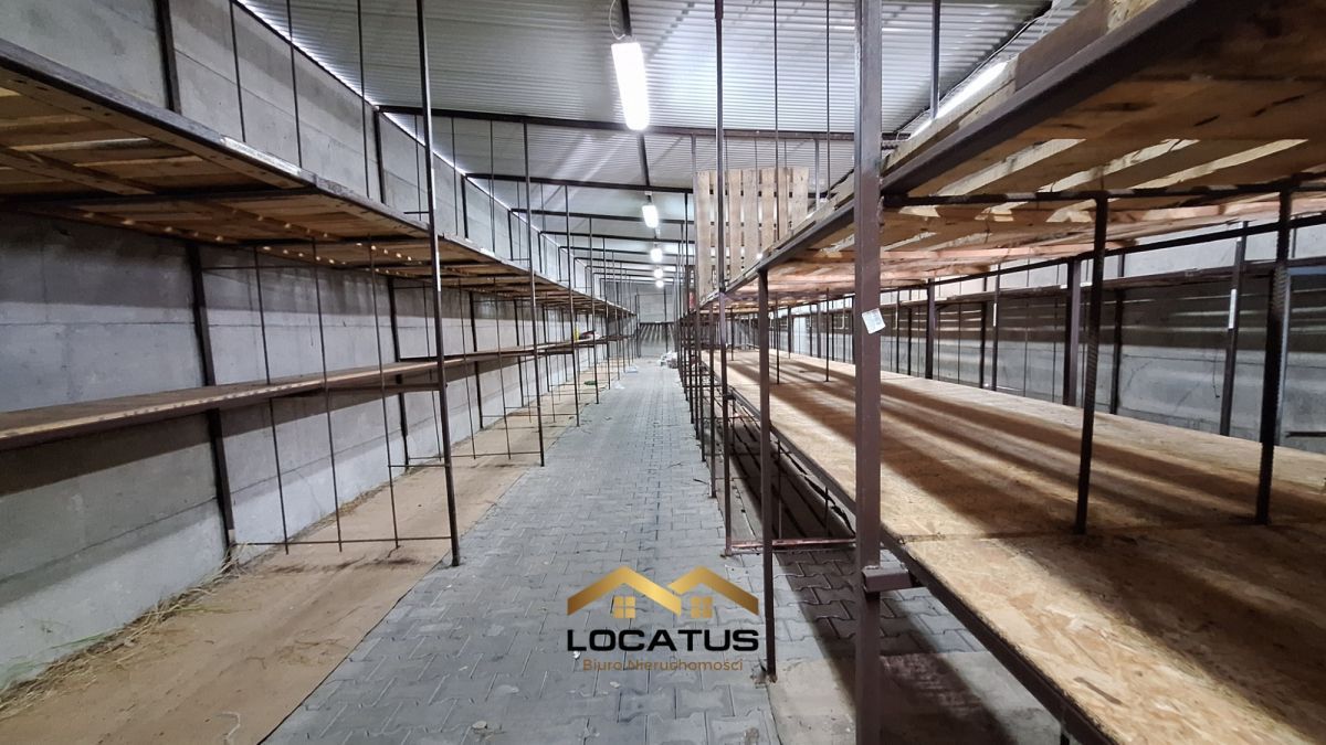 Hala/magazyn Częstochowa, ul. Srebrna. Zdjęcie 13