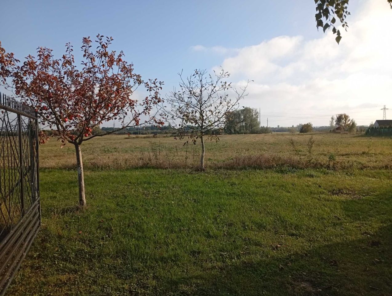 Działka rolna Okszów-Kolonia. Zdjęcie 6