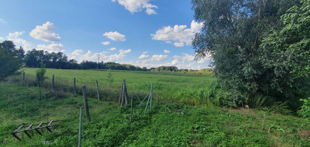 Działka rolna Chrystkowo. Zdjęcie 3