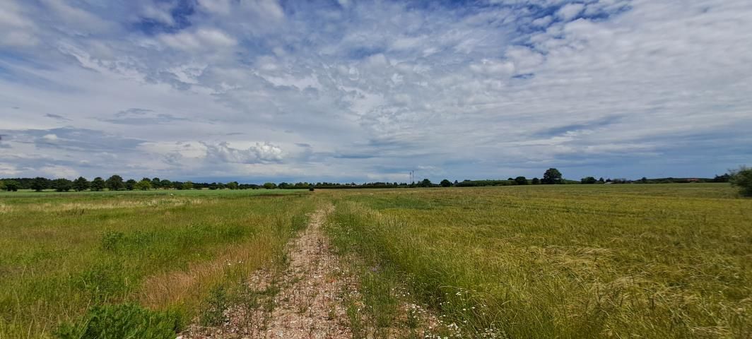 Działka budowlana Czernin. Zdjęcie 2