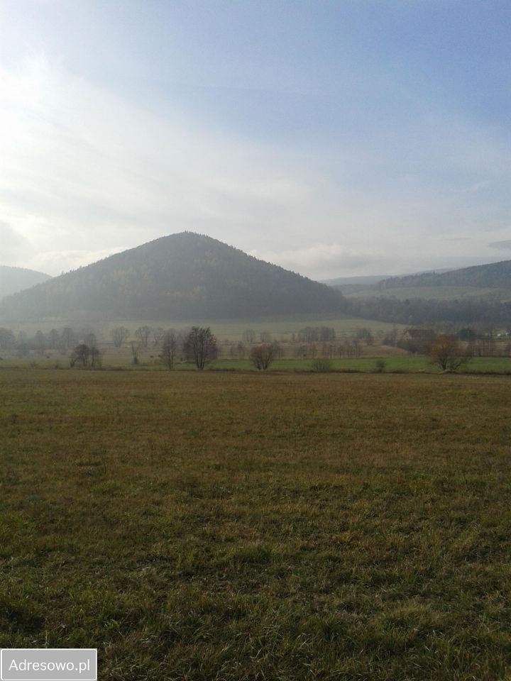 Działka budowlana Pisarzowice. Zdjęcie 3