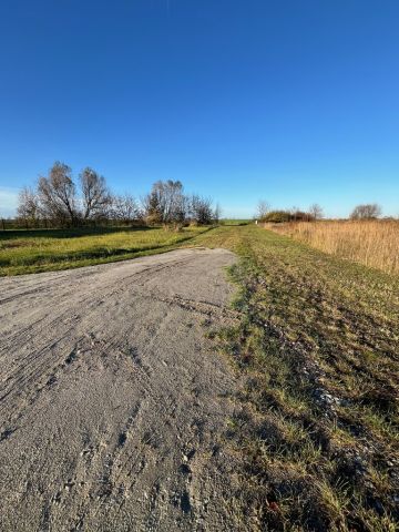 Działka budowlana Środa Wielkopolska, ul. Figowa. Zdjęcie 5