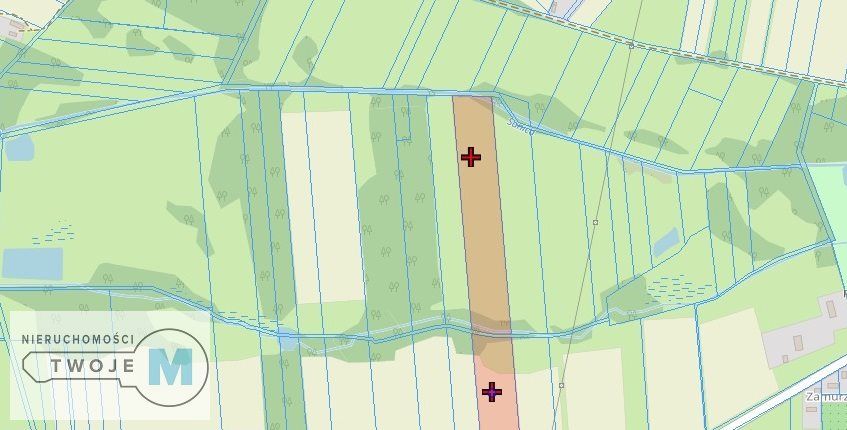 Działka rolna Śladków Duży. Zdjęcie 8