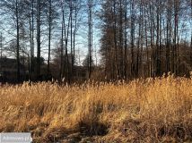 Działka budowlana Katowice Kostuchna, ul. Ferdynanda Adamczyka. Zdjęcie 3