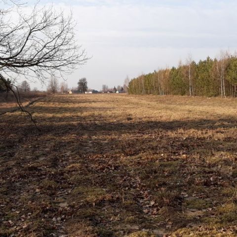 Działka rolna Budy Uśniackie. Zdjęcie 1