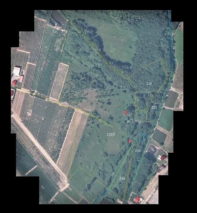 Działka rolno-budowlana Biała Rawska, ul. Topolowa. Zdjęcie 8