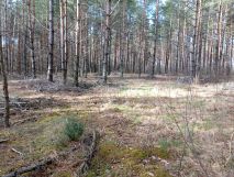 Działka budowlana Moszczona Pańska