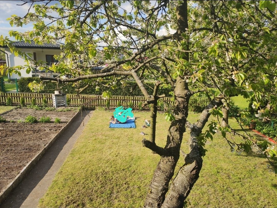 Działka rod Złotów. Zdjęcie 6