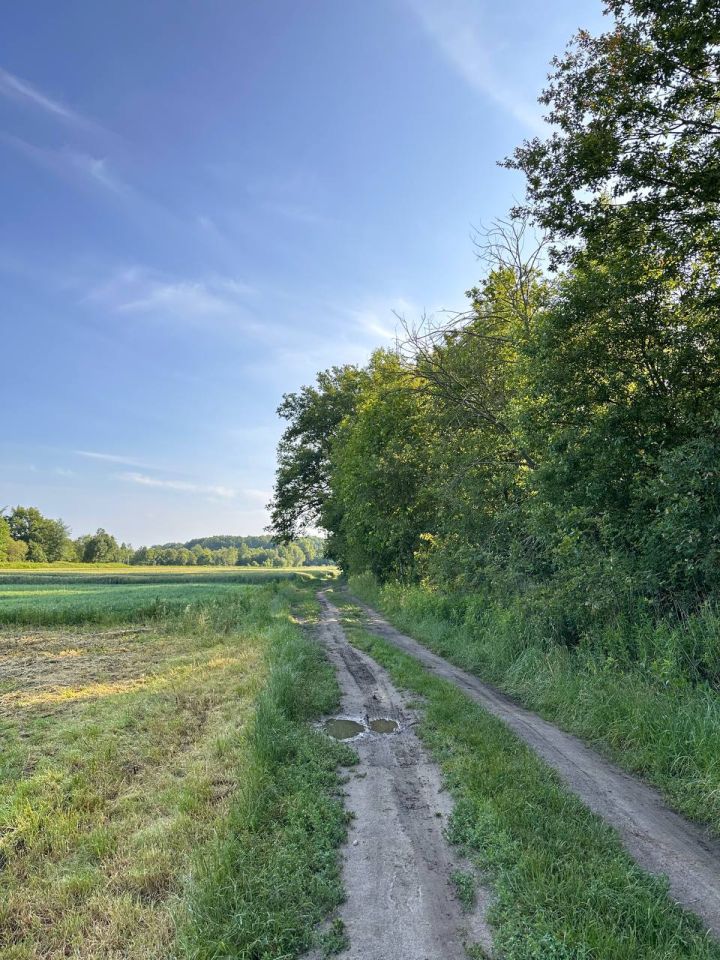 Działka rolna Rudawica. Zdjęcie 5